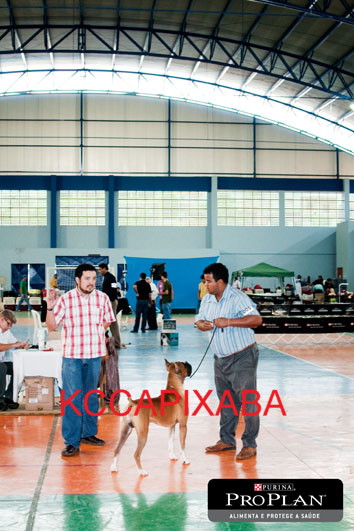 Clique sobre a foto para fechar